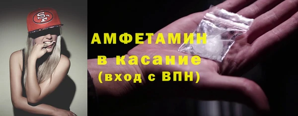 гидра Абаза