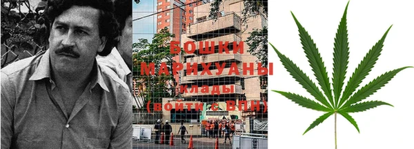 гидра Абаза