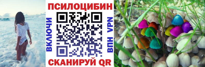 Псилоцибиновые грибы Psilocybine cubensis  Кувшиново 